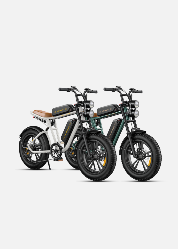 ENGWE M20