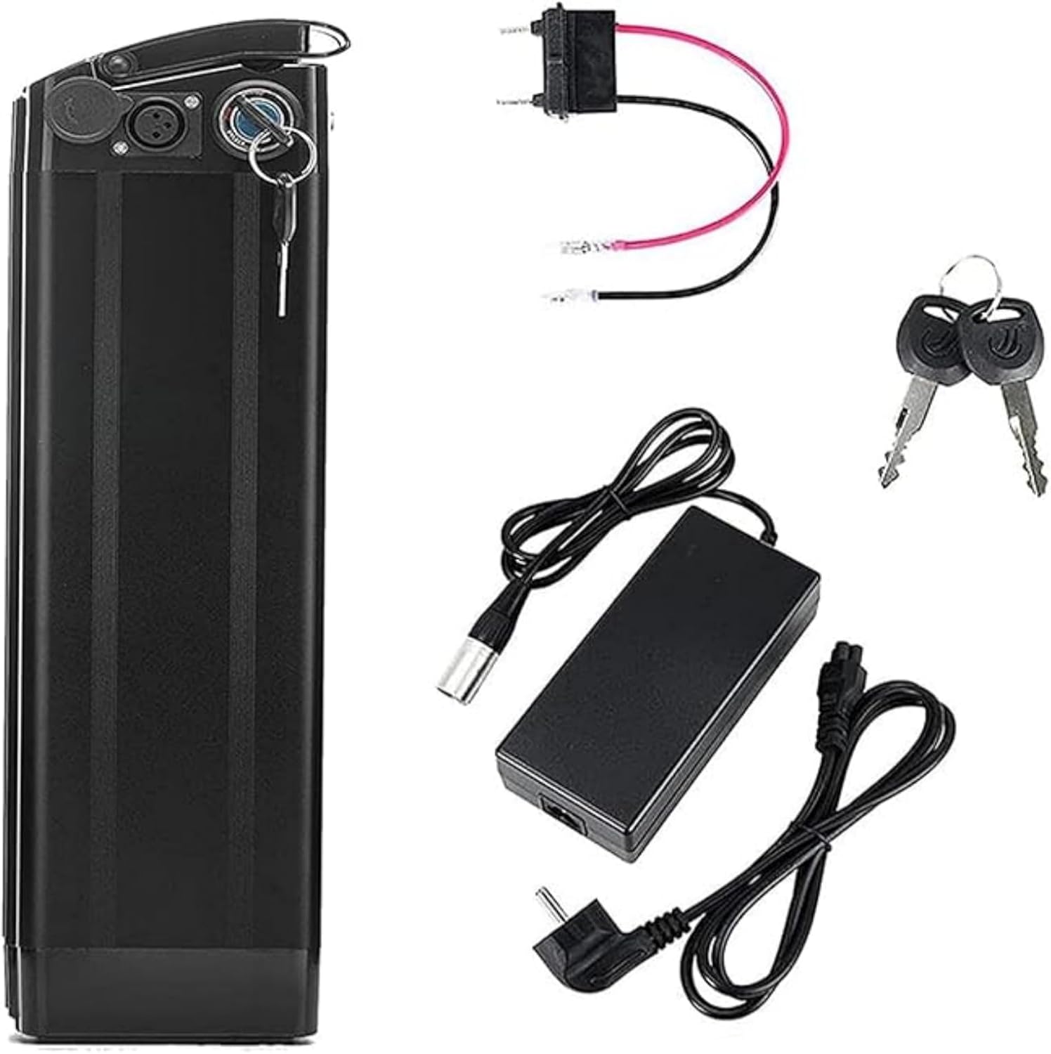 SDTYYP / Hailong Hailong 36V/48V 13–18Ah + charger - Image 3