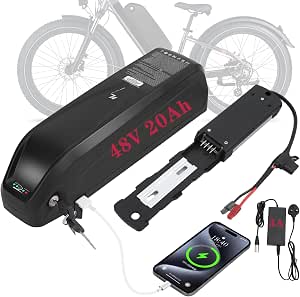 R TEAM 48V 20Ah e-bike battery + 3A charger (Samsung cells)