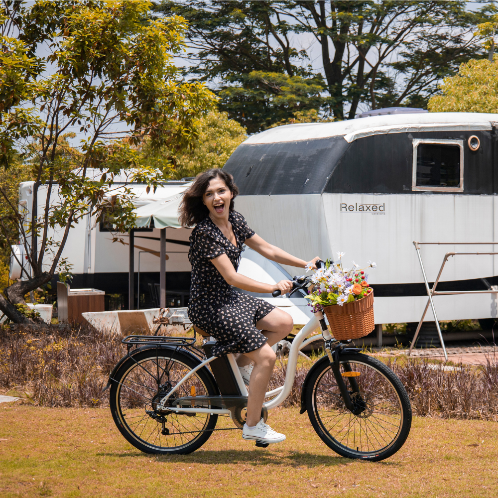 DYU C6 26" City + basket - Image 3