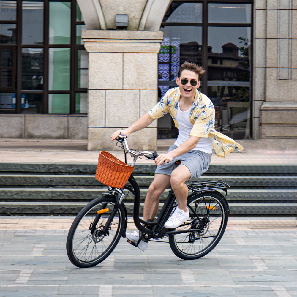 DYU C6 26" City + basket - Image 2