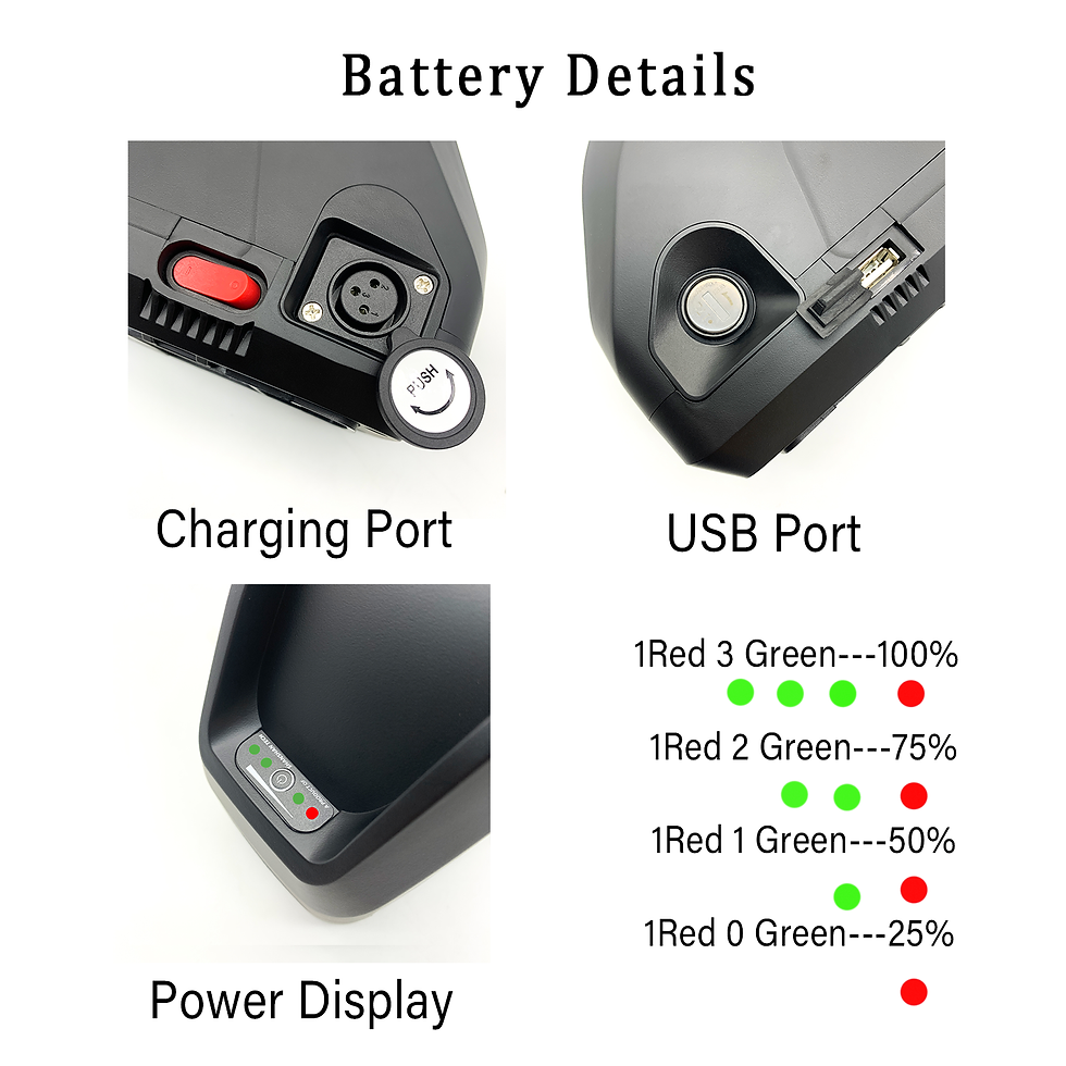 Generic 48V 17.5Ah Hailong + charger + USB - Image 3