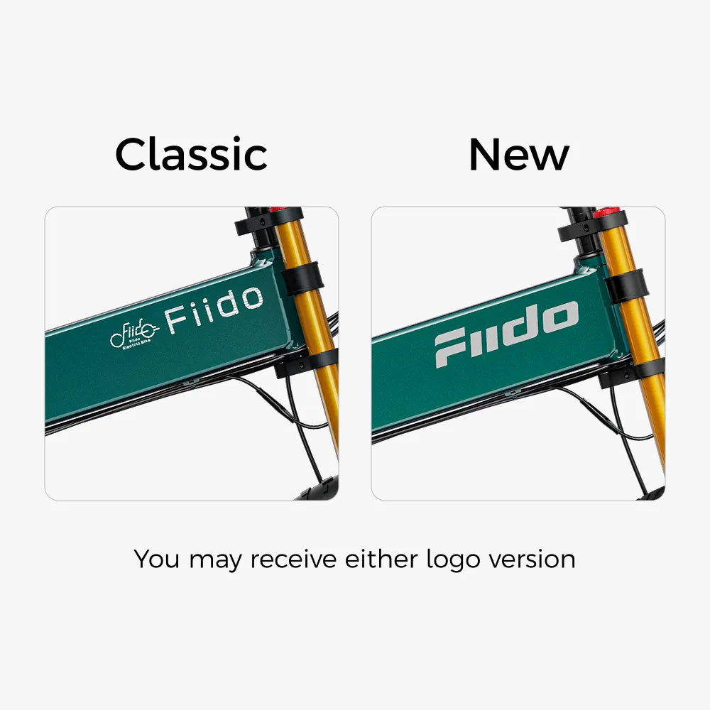 Fiido M1 Pro Fat Tyre Folding - Image 3
