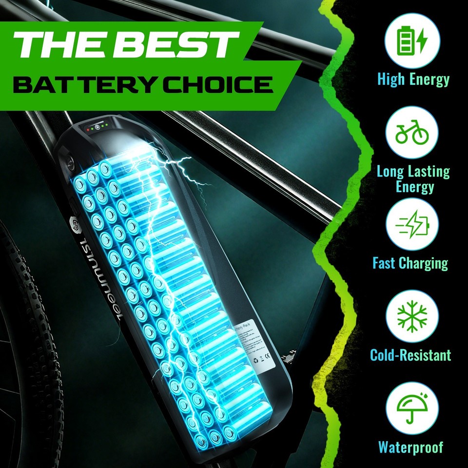 iCycleCell 48V 20Ah Hailong 5-pin + 3A charger - Image 3