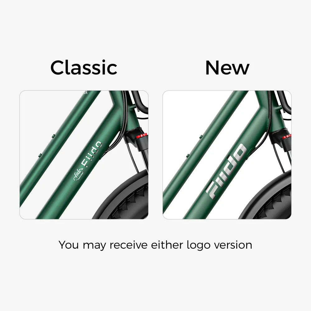 Fiido T2 Longtail Cargo - Image 3