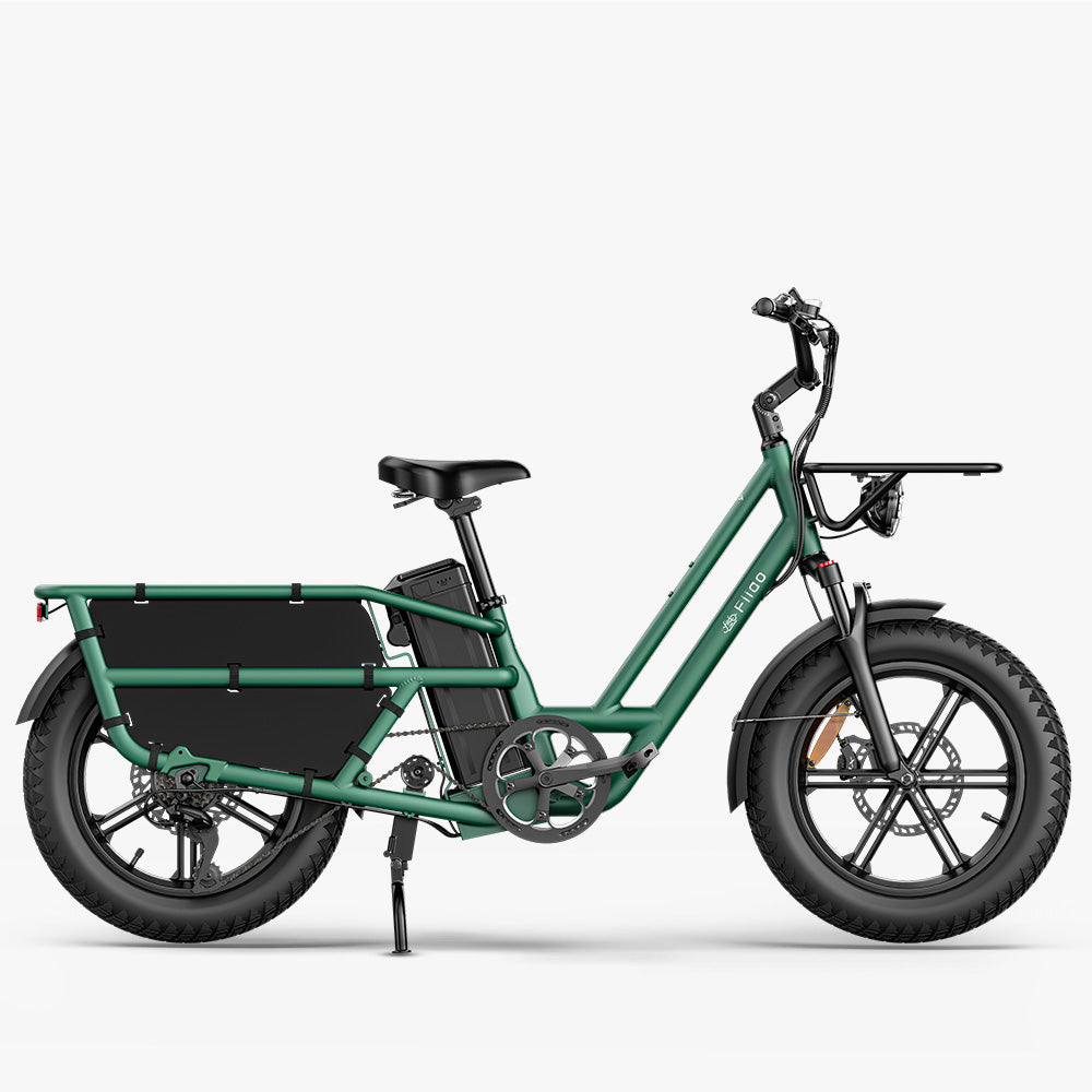 Fiido T2 Longtail Cargo